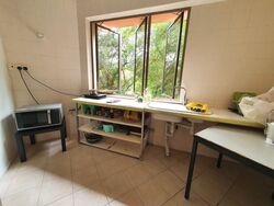 Balmoral Luck (D10), Condominium #559148041